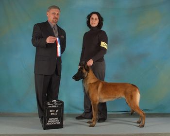 20 months old, winning his first Best of Breed.
