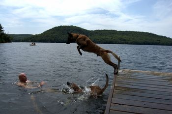 Blade loves to swim, he is an excellent jumper - especially from the dock.
