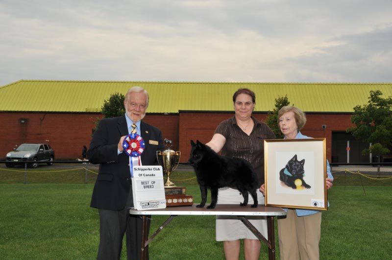 2010 SCC National Specialty Held in Brockville, ON. Best in Specialty judge Gerald Penta awarded to Am Can Ch Mardeck's Legend of Pompey Hollow. Handled by Karen Cummings
