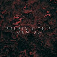 Stupid Little Genius by James Bakian