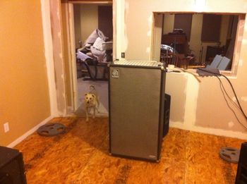 Ampeg 8x10 and weights holding down the floor
