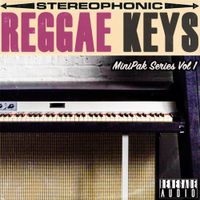  MiniPak Series Vol 1 -  Reggae Keys