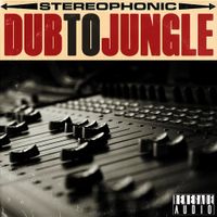 Dub to Jungle Vol 1