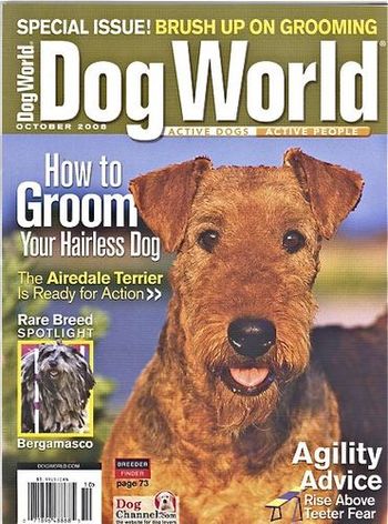 Our Gasparo featured on the cover of the October 2008 issue of Dog World magazine!
