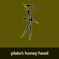 Plato's Honey Head by Brad Hoshaw