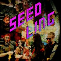 Concert Sundays - Seed Ling (click for details)