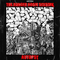 The Danger Room Session by Autopsy