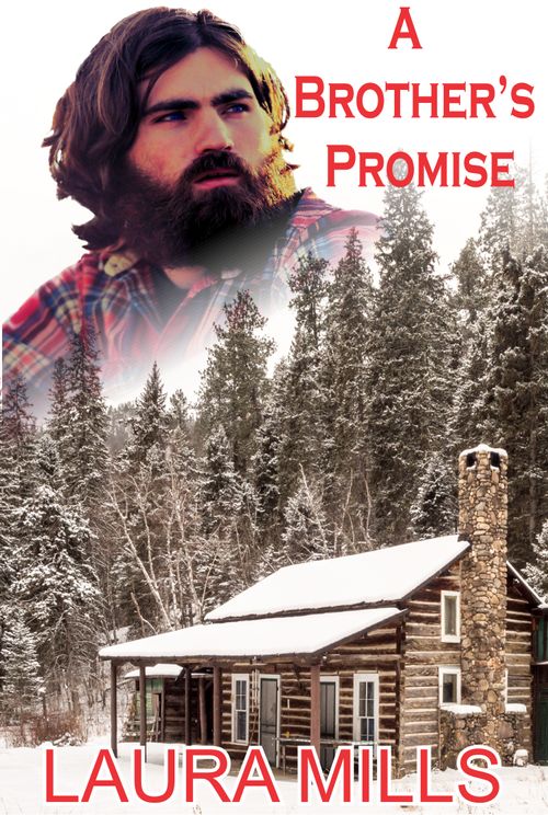 A Brother's Promise by Laura Mills