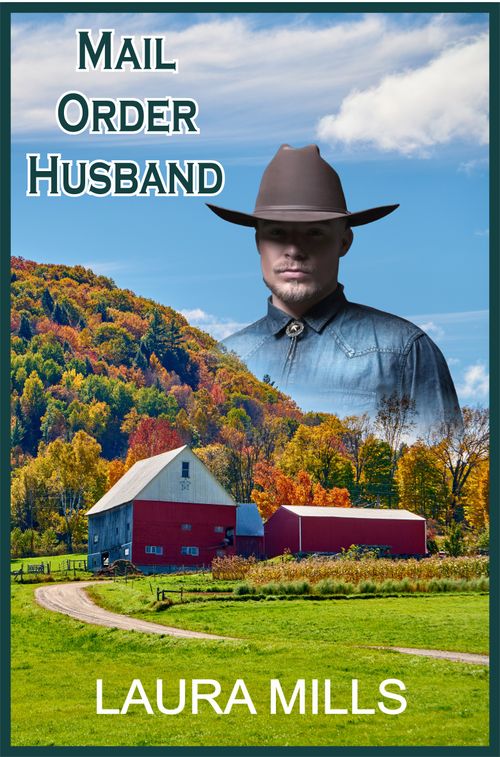 Mail Order Husband by Laura Mills