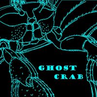 Ghost Crab by John Lamm