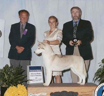 In her first (and only ) outing as a special, Spice won an Award of Merit at the SHCA 2004 specialty handled by Jessica Plourde.
