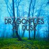 Dragonflies at Dusk: CD