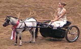 Shown by Kelly Campbell, Baritone won the 2005 Reserve World Champion Country Pleasure Driving title Youth 13-17.

