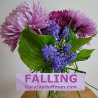 Falling by Gary Jay Hoffman