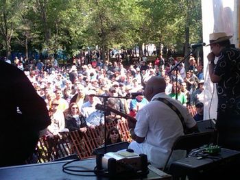 What A Crowd! Chicago Blues Festival 2011 
