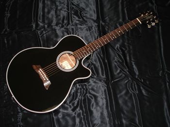 Takamine Acoustic Electric...Dave's pawn shop prize! He has a pair of these, one for dragging into bars and one for picking at home.

