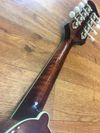 Eastman MD605 Handcrafted A-style Electro Mandolin + HCase