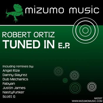 Robert Ortiz-Tuned In (Fabyan Remix) (Fidgit House)
