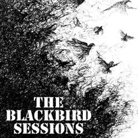 Blackbird Session with Will Ardell and Berk Jodoin