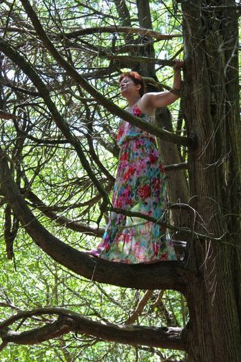 Opera singer Peg Evans serenades us from the branches of a cedar tree. Spring Awakes 2013. Photo: Aidan Ware.
