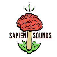 Sapien Sounds at Bodega's