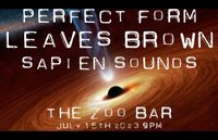 Sapien Sounds at the Zoo Bar