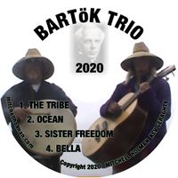 Bartok Trio by Bartok Trio