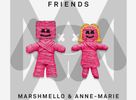 FRIENDS - Violin Solo Marshmello & Anne Marie