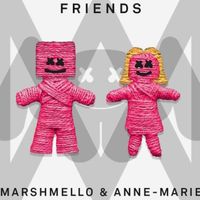FRIENDS - Violin Solo Marshmello & Anne Marie