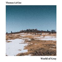 World Of Gray by Thomas LaVine