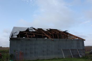 North side of barn. Roof almost completely gone. most of the trusses have been broken off too.
