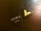 Visible Music College Guitar Picks