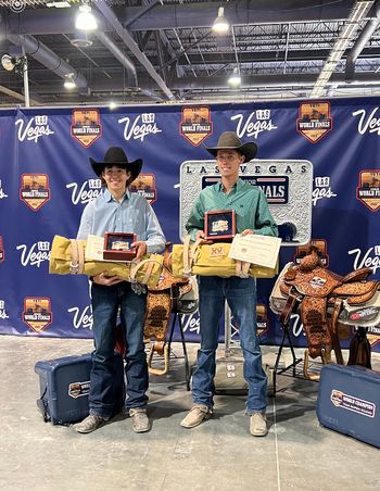 Junior NFR Champion Team Ropers, heelers horse Wimpys A Pine Legend
