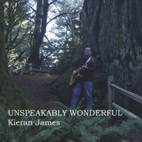 Unspeakably Wonderful by Kieran James