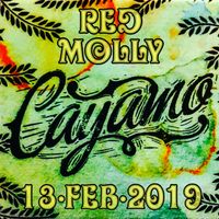 2019-02-13 Sixthman Cayamo Cruise - Atrium (Norwegian Pearl) [Red Molly] by Red Molly