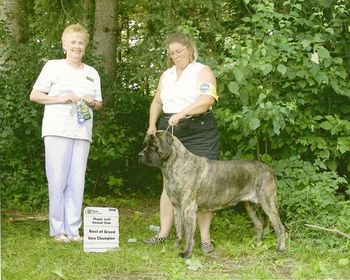 In only 3 shows Mona got her second championship. UKC at 2 years of age.
