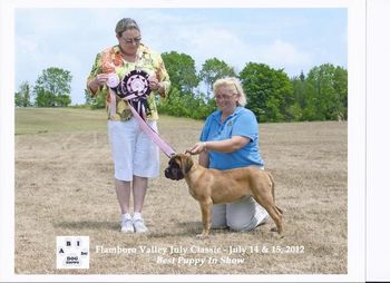 Dixie winning her first BPIS with judge Peggy Doster.
