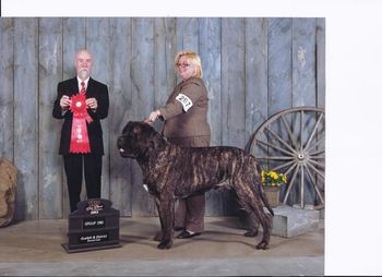 Guelph District Kennel Club GRP 2 under Australian Judge Theo Horchner.
