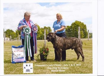 Bigg's third BIS and second for the weekend earning him Top Dog Honors for the weekend. Thank you Judge Gail Neilson.
