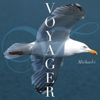 Voyager by Michael e