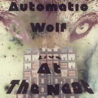 Live At The Nest 7-1-17 by Automatic Wolf