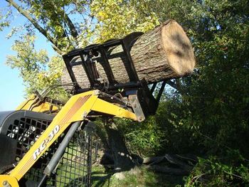 Our smaller skid-steer moving 3-foot logs from downed trees.
