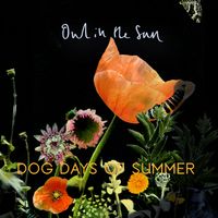 Dog Days of Summer by Owl in the Sun