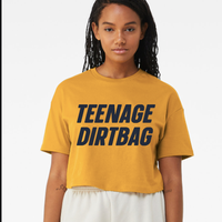 Teenage Dirtbag crop top