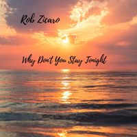 Why Don't You Stay Tonight  by Rob Zicaro 
