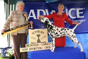 Best of Breed and Group second at Sunbury Canine Club 2011
