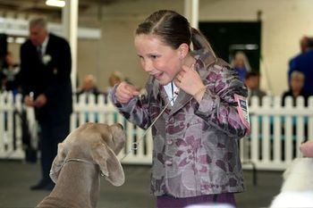 Emily at Royal Melbourne Show with Boomer her Weimaraner
