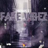 Fake Vibez by Promis3