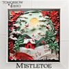 Mistletoe: Acoustic Christmas Carols: CD