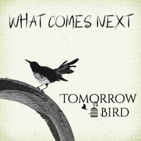 What Comes Next by Tomorrow Bird